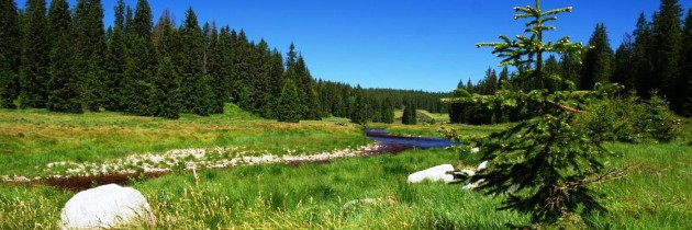 Šumava chalupy víkend na horách